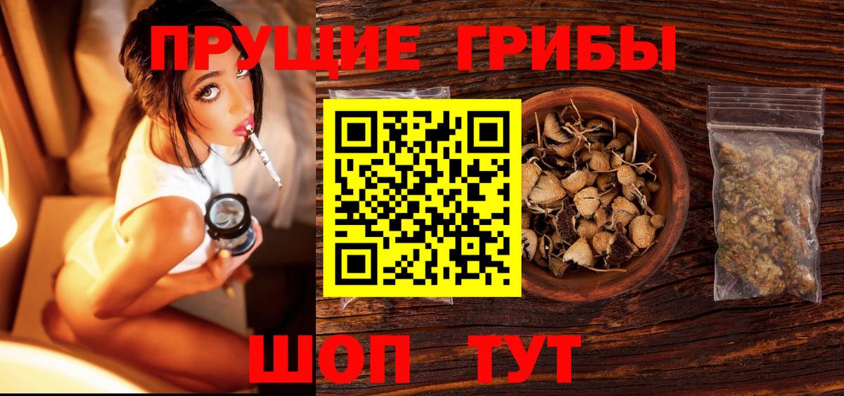 Галлюциногенные грибы прущие грибы  Галлюциногенные грибы Cubensis  Вход с VPN  Зеленогорск 