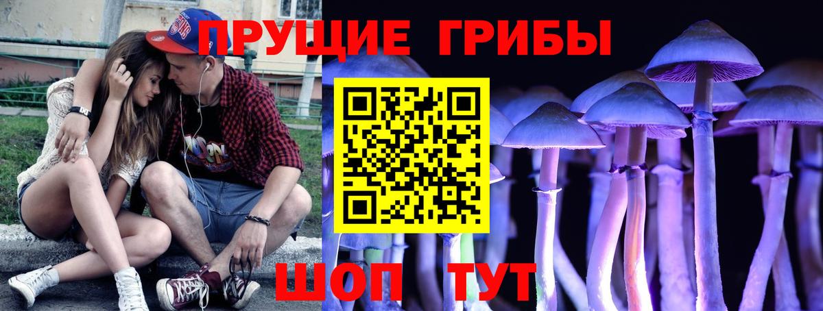 Псилоцибиновые грибы GOLDEN TEACHER Зеленогорск