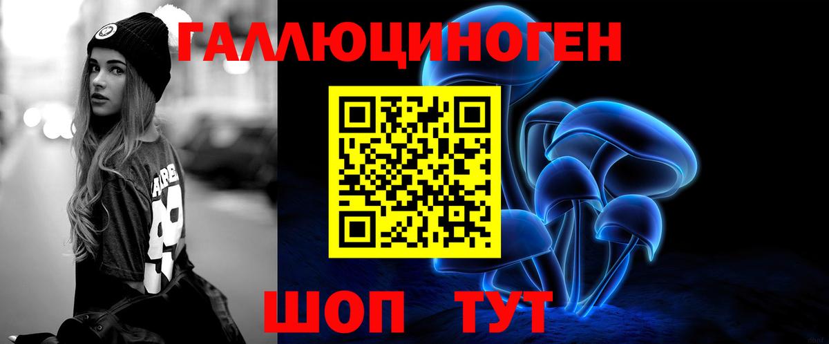 АМФ   ГАШ  Конопля  Зеленогорск  Мефедрон   Вход с VPN 